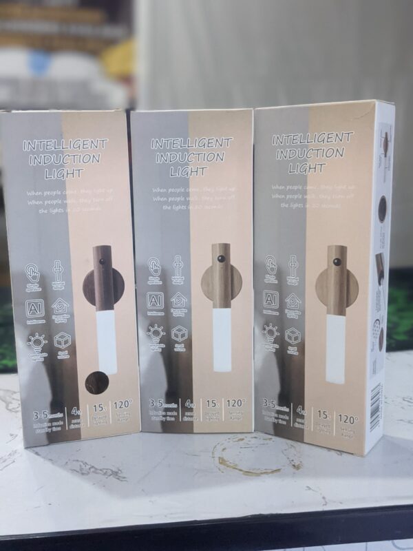 PXL_20241218_123700724.PORTRAIT VOMI Battery Operated Wall Lights LED Motion Sensor Stick